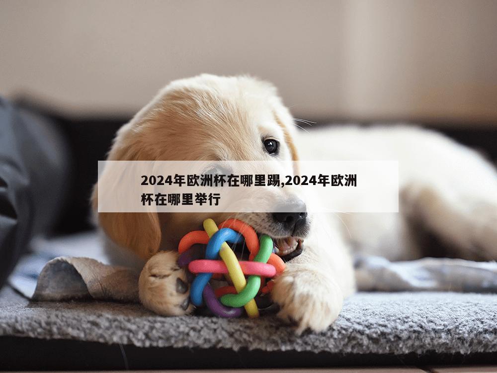 2024年欧洲杯在哪里踢,2024年欧洲杯在哪里举行