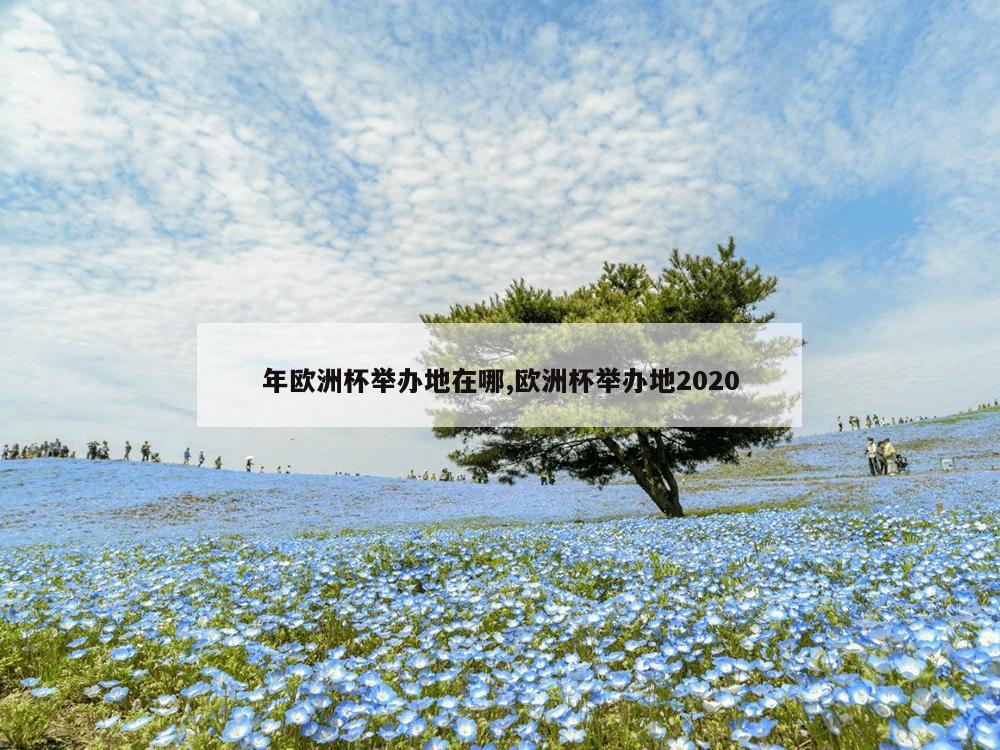 年欧洲杯举办地在哪,欧洲杯举办地2020