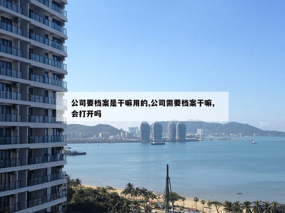 公司要档案是干嘛用的,公司需要档案干嘛,会打开吗