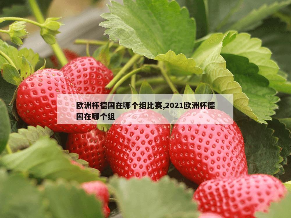 欧洲杯德国在哪个组比赛,2021欧洲杯德国在哪个组