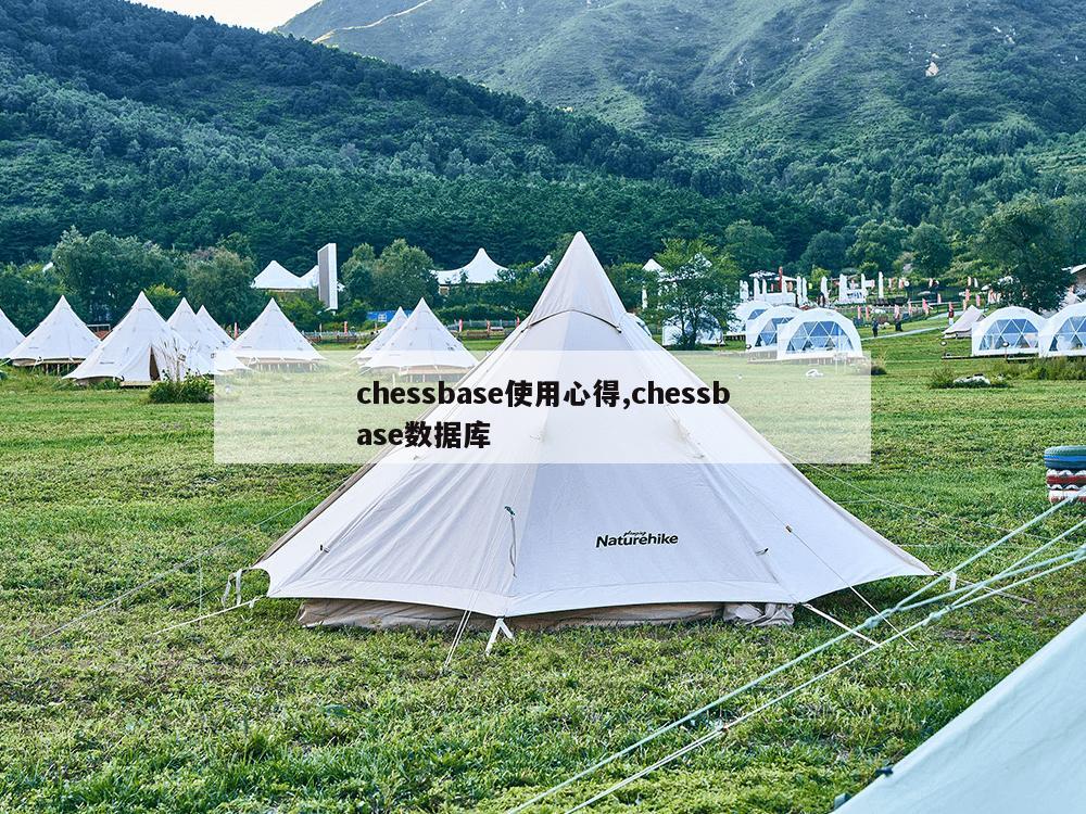 chessbase使用心得,chessbase数据库