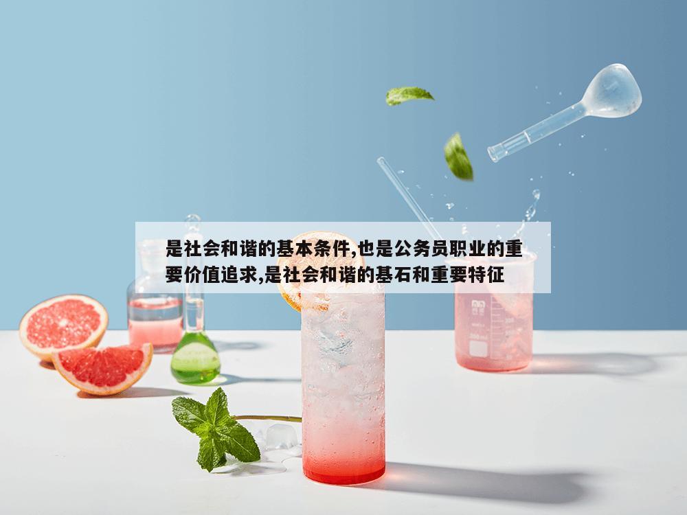 是社会和谐的基本条件,也是公务员职业的重要价值追求,是社会和谐的基石和重要特征