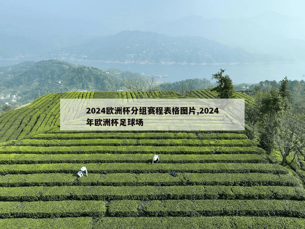 2024欧洲杯分组赛程表格图片,2024年欧洲杯足球场