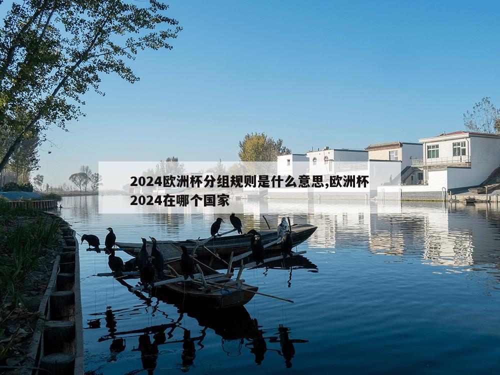 2024欧洲杯分组规则是什么意思,欧洲杯2024在哪个国家