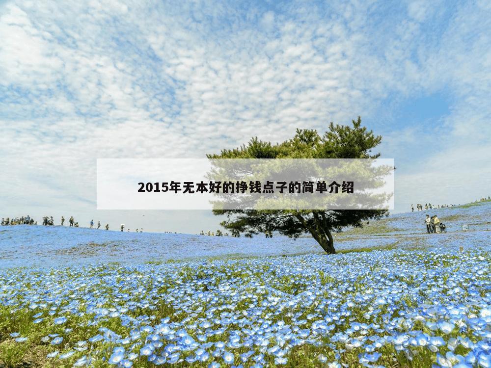 2015年无本好的挣钱点子的简单介绍