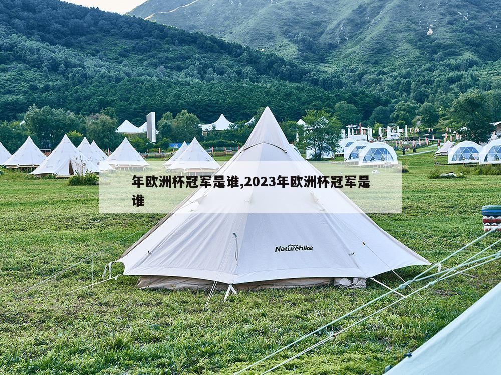 年欧洲杯冠军是谁,2023年欧洲杯冠军是谁