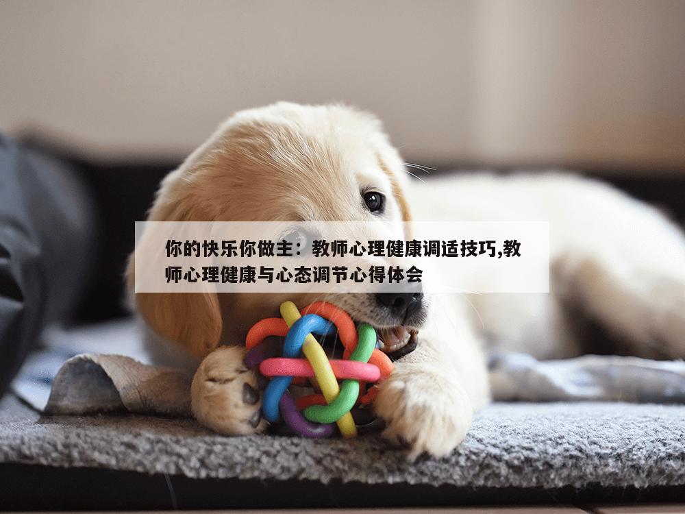 你的快乐你做主：教师心理健康调适技巧,教师心理健康与心态调节心得体会