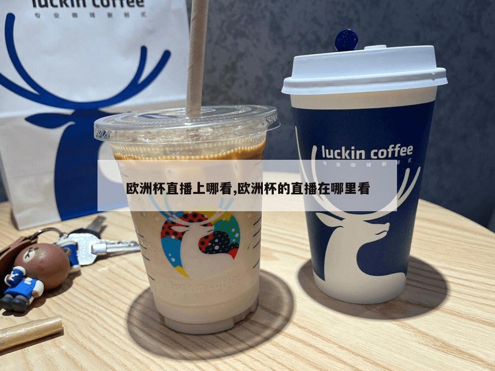 欧洲杯直播上哪看,欧洲杯的直播在哪里看