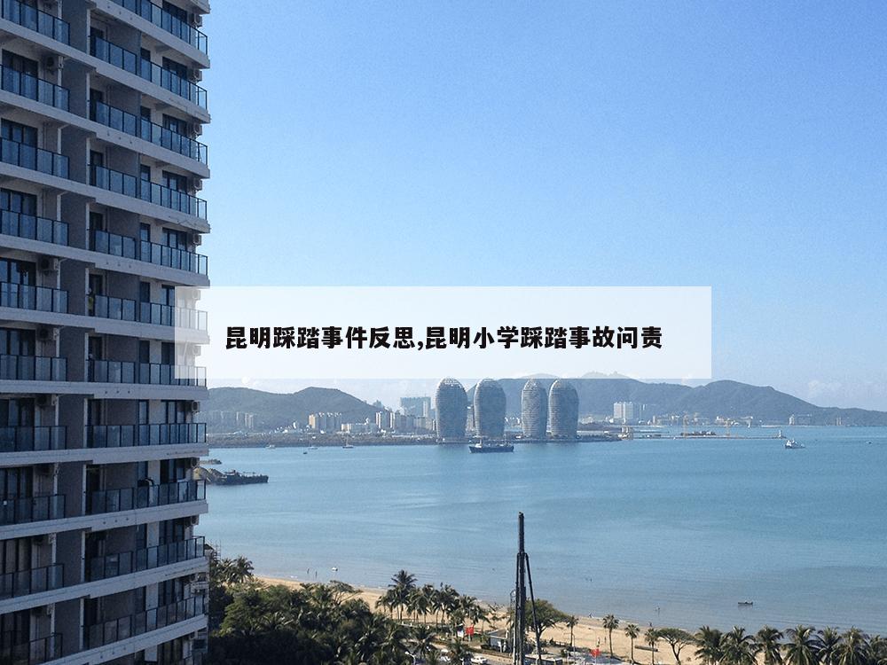 昆明踩踏事件反思,昆明小学踩踏事故问责