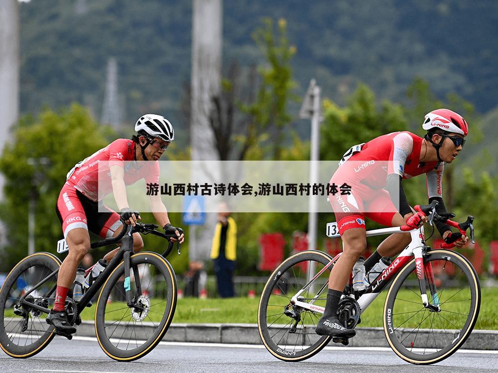 游山西村古诗体会,游山西村的体会